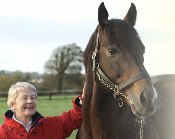 Acclamation: ‘True legend of the Irish stallion ranks.’ Photo: Rathbarry Stud