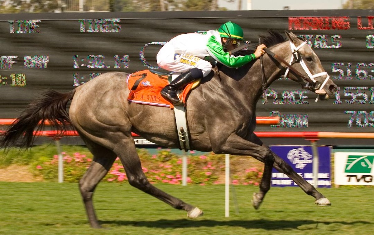 Wait A While ventures west to win the 2006 American Oaks in grand style. (Benoit photo)