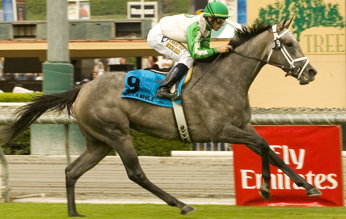 Wait A While shows little respect for her elders in the 2006 Yellow Ribbon at Santa Anita en route to her three-year-old championship. (Benoit photo)