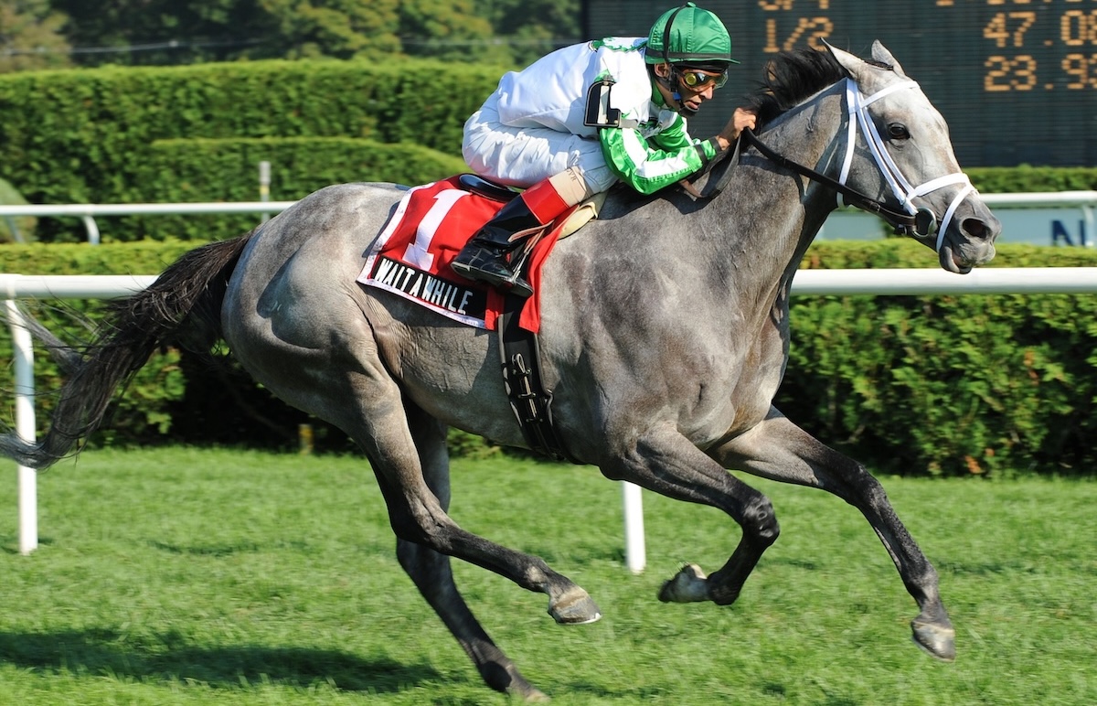 Wait A While gives her New York fans one last hurrah in the 2008 Ballston Spa at Saratoga. (Coglianese photo)