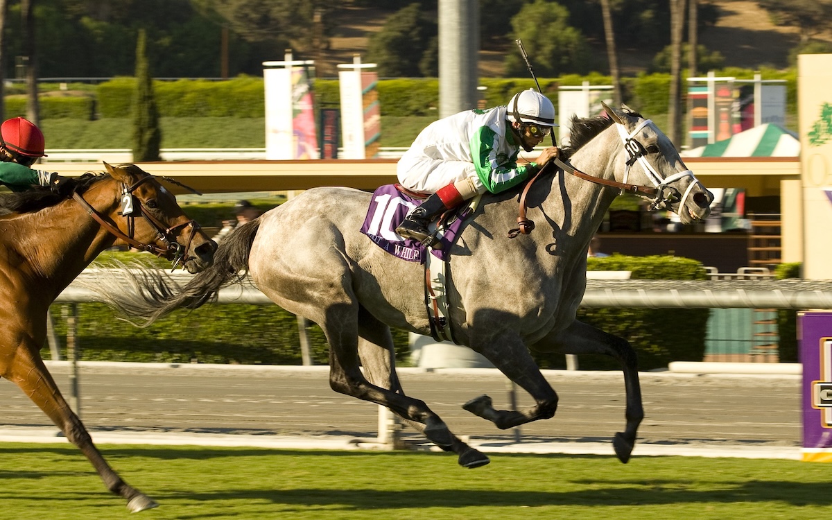 Wait A While records the last of her dozen victories in the 2008 Yellow Ribbon over the accomplished Vacare. (Benoit photo)