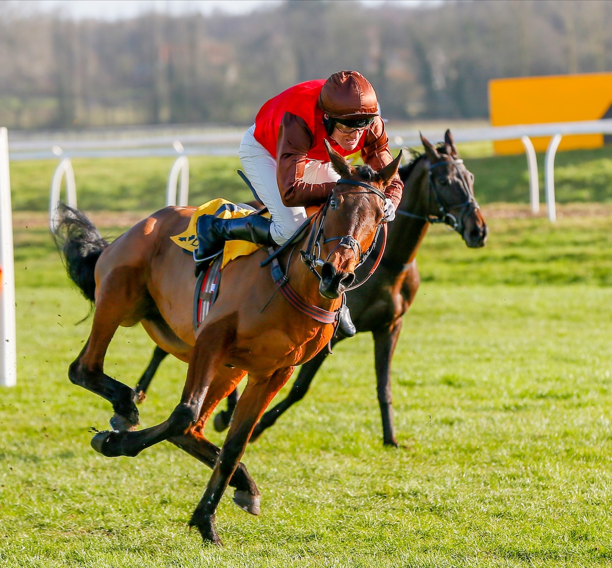 Hold on tight: acrobatic amateur David Maxwell manages to stay on board after a mistake at Newbury. Photo: Mark Cranham / focusonracing.com