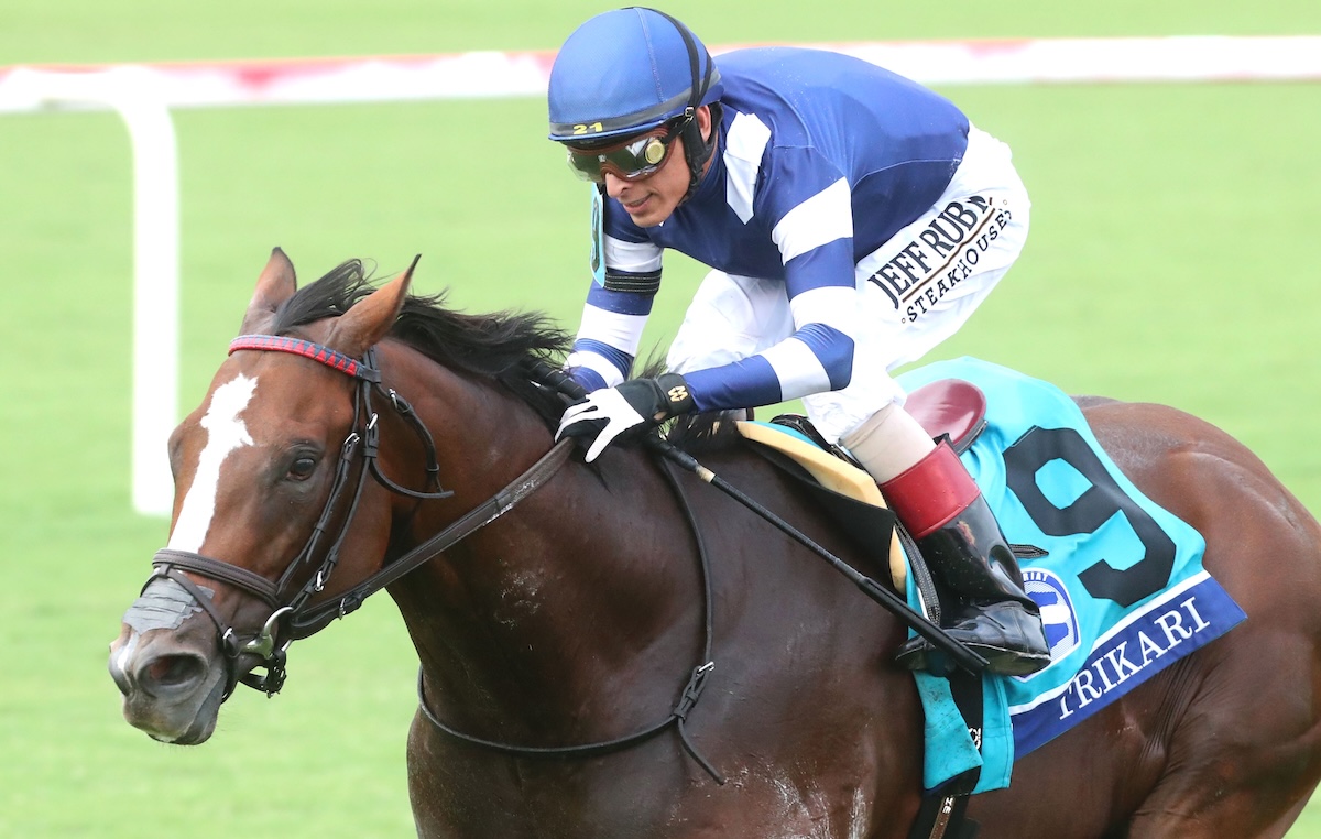 Trikari: won American Turf on Kentucky Derby day in 2024. Photo: Renee Torbit/Colonial Downs