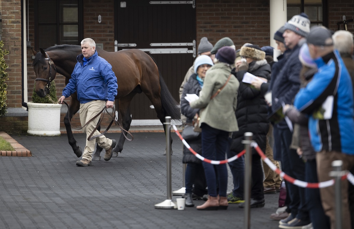 Viewing at Darley’s Irish base Kildangan, where an impressive team will be on show to the public. Photo: Patrick McCann