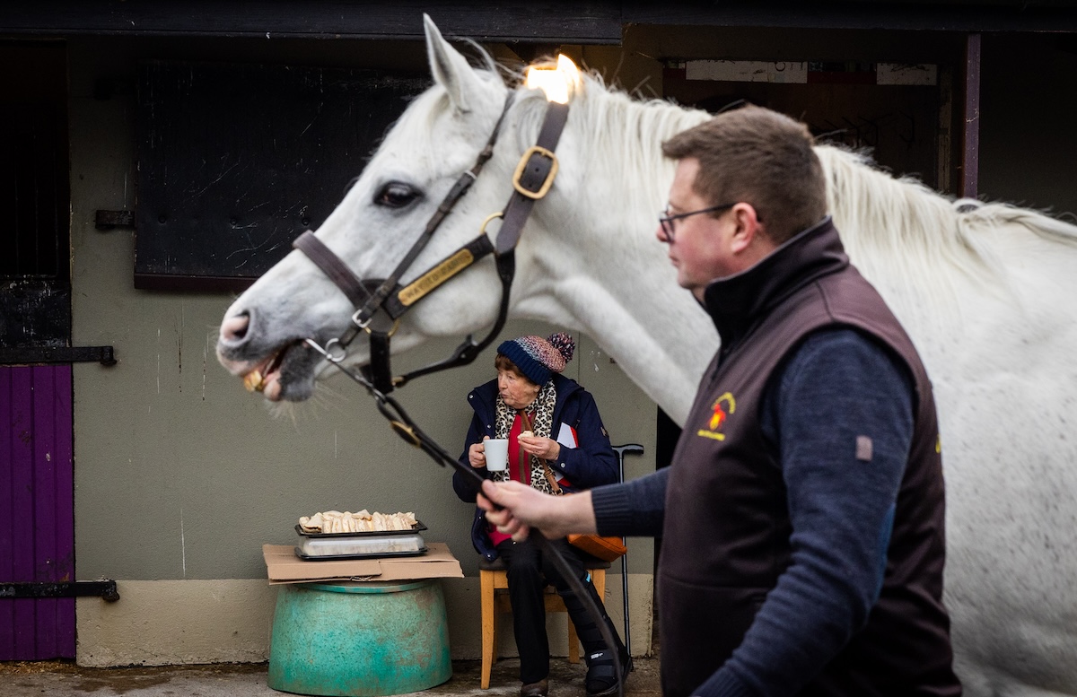 Way To Paris: Coolagown stallion has first three-year-olds in 2025. Photo: Morgan Treacy