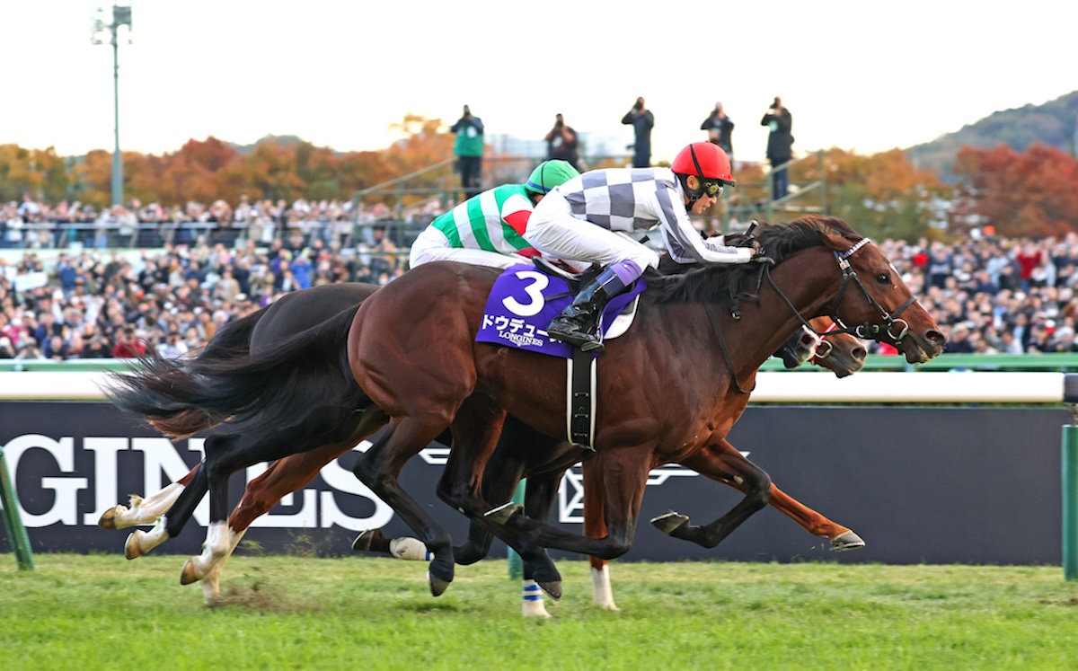 Do Deuce (near side): Japan Cup winner retired to Shadai. Photo: JRA