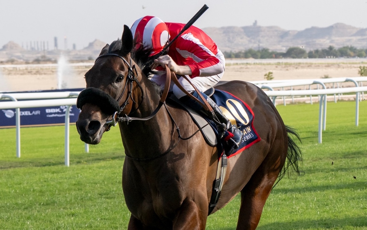 Rocket Rodney: defends title in Al Riffa Cup. Photo: Bahrain Turf Club