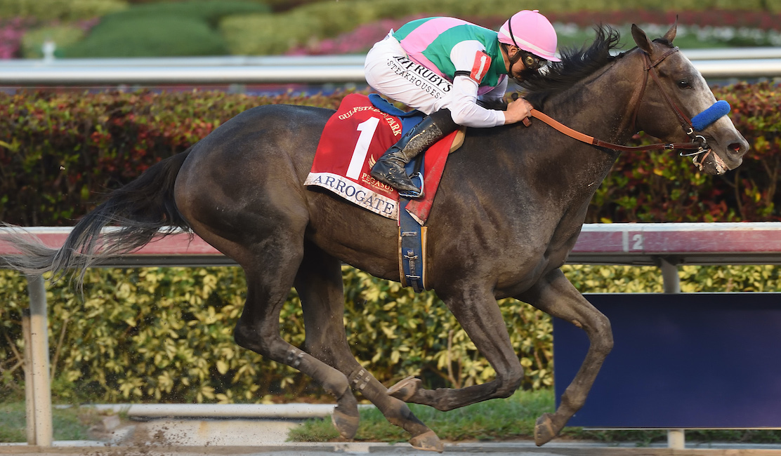 Arrogate (Mike Smith) streaks home in the inaugural Pegasus. Photo: Gulfstream Park