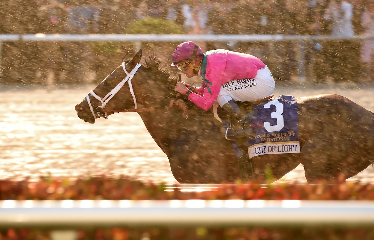 City Of Light (Javier Castellano) so impressive in a muddy Pegasus in 2019. Photo: Lauren King/Gulfstream Park