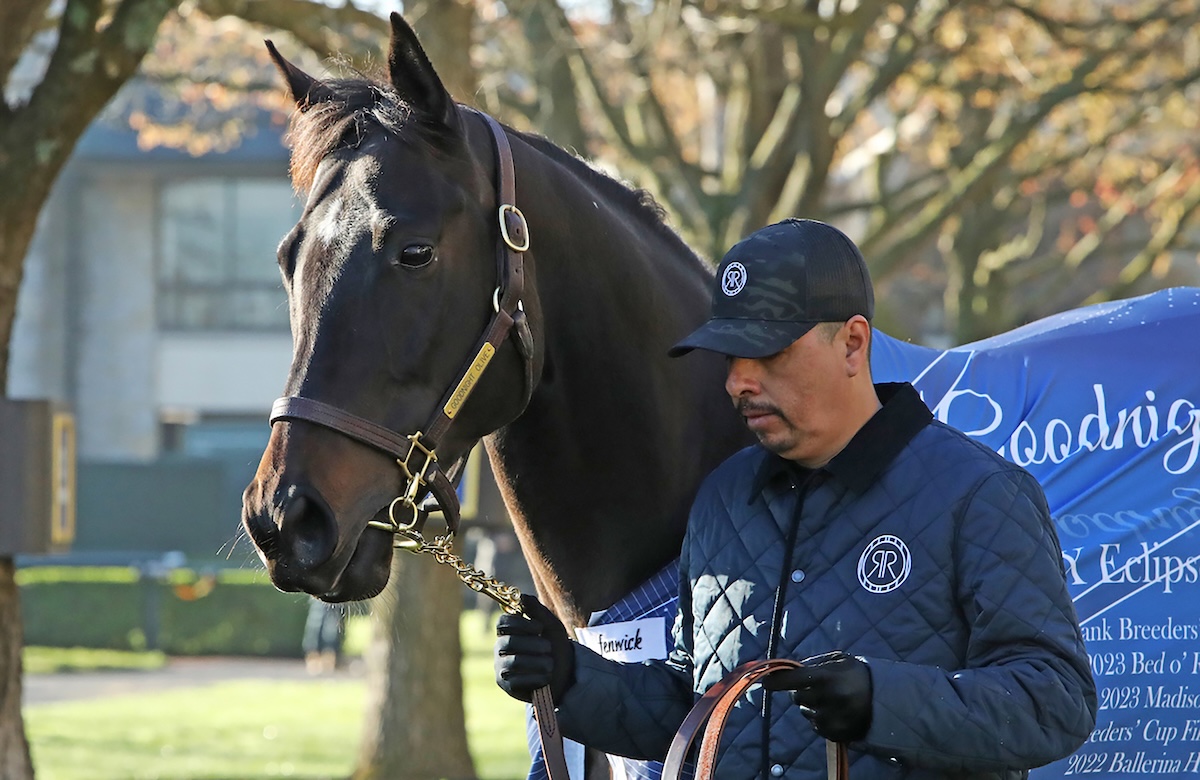 Goodnight Olive: $6m purchase. Keeneland Photo