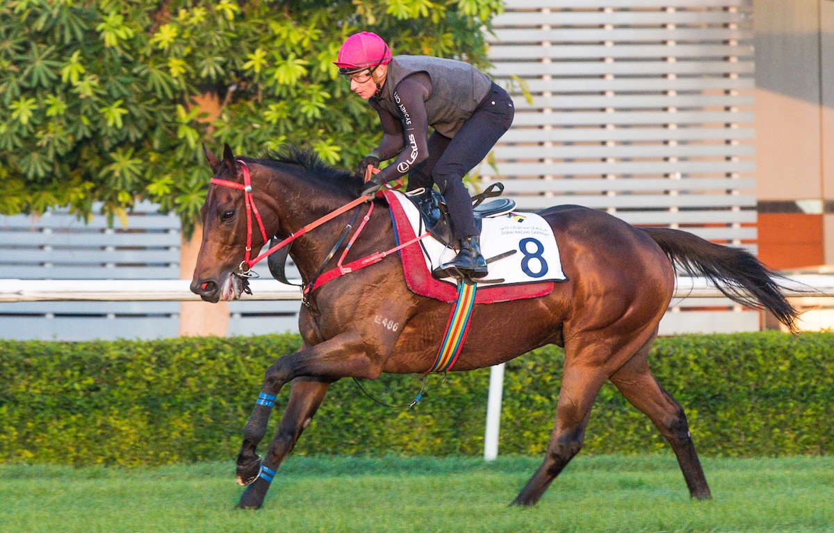 Morning exercise: Romantic Warrior in trackwork at Meydan under James McDonald. Photo: Hong Kong Jockey Club