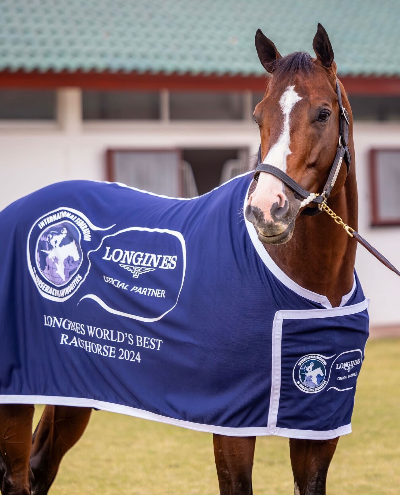 Laurel River: joint top-rated at Longines World Racing Awards. Photo: Dubai Racing Club