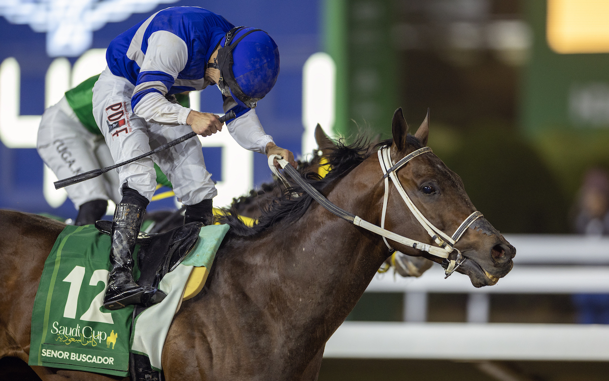 Senor Buscador’s jockey Junior Alvarado celebrates Saudi Cup success. Photo: Neville Hopwood/JCSA