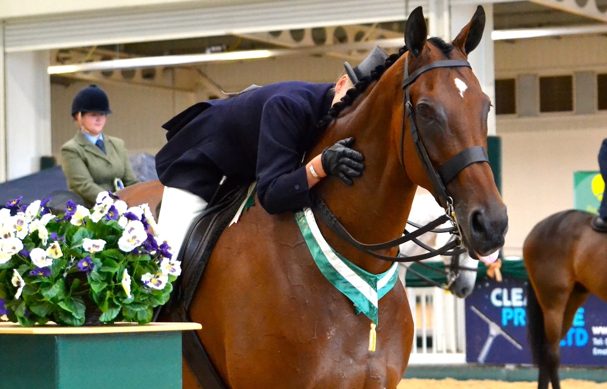 Formerly owned by the Queen, Barbers Shop thrived in the show ring and is now an ambassador for Newmarket. Photo: RoR