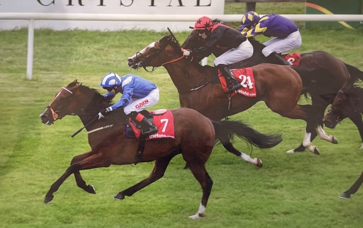 Former life: Jassaar (Andrew Slattery) wins the Irish Cambridgeshire in the Sheikh Hamdan silks. Photo supplied