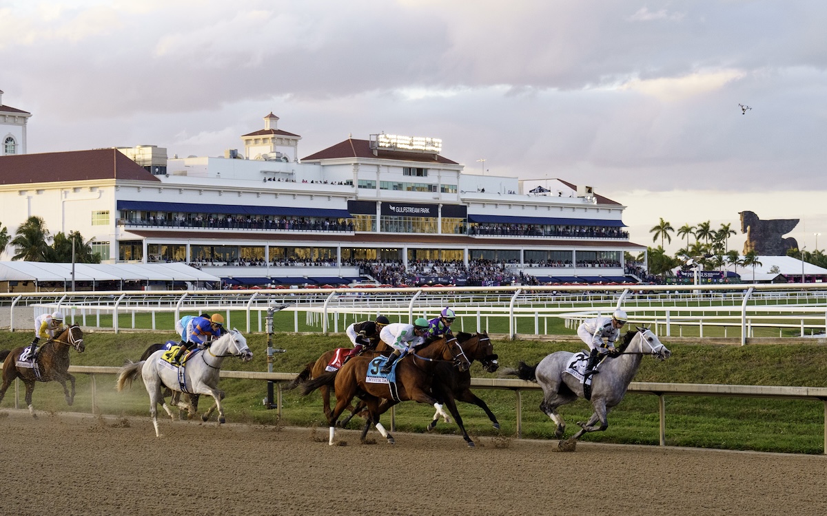 Saudi Crown leads the field away from the stands in the most recent edition of the Pegasus World Cup. Photo: Ryan Thompson / Gulfstream Park