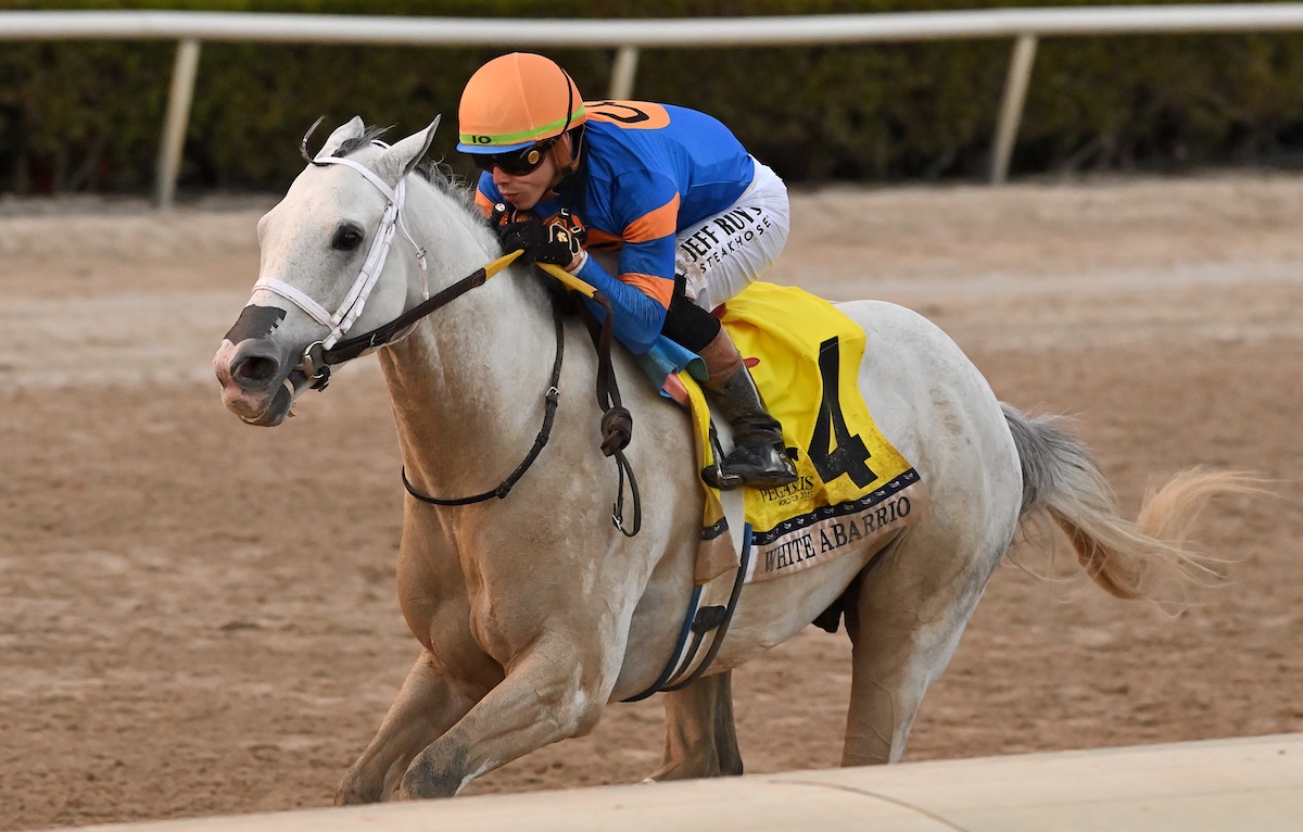 White Abarrio (Irad Ortiz) wins the Pegasus. Photo: Angelo Lieto / Gulfstream Park