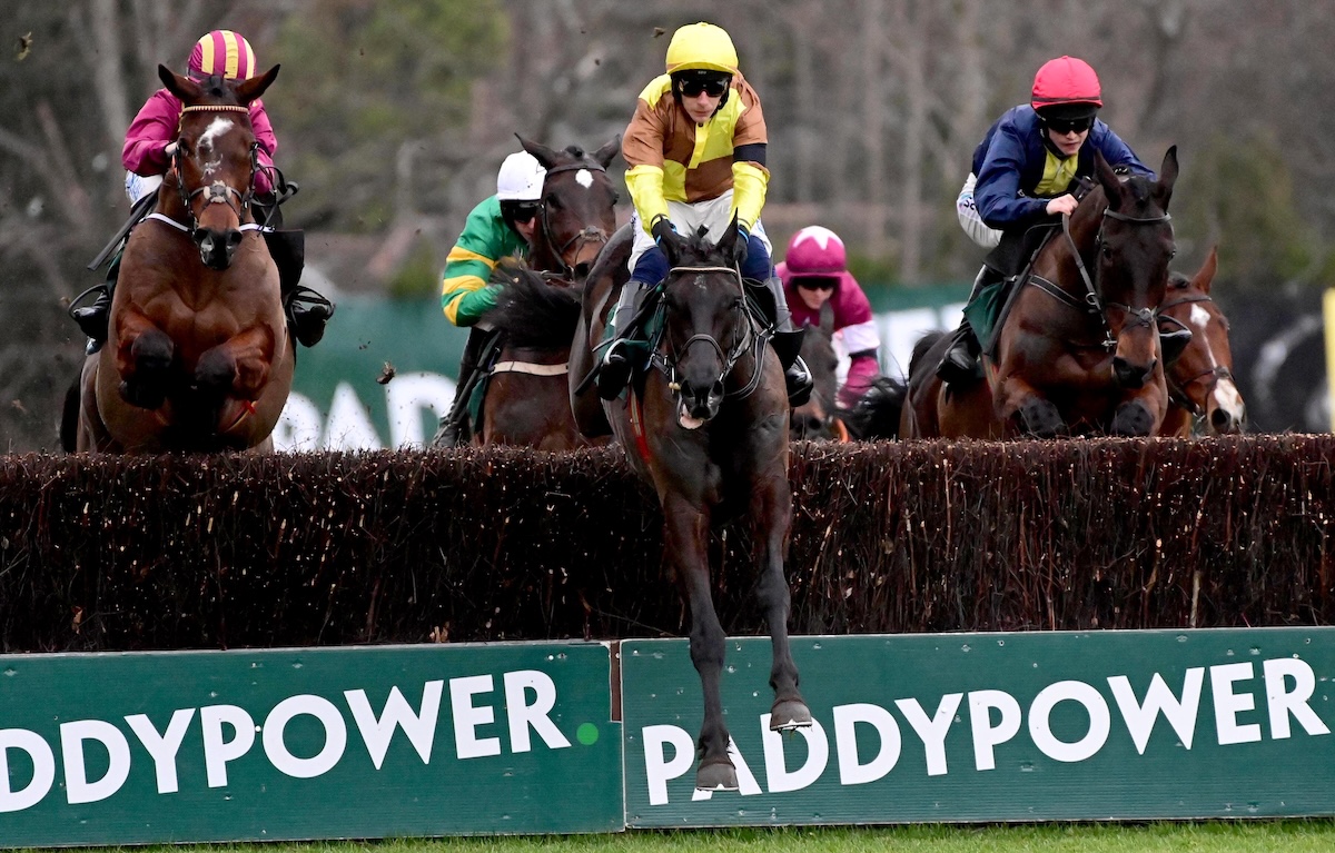 Galopin Des Champs jumps the second-last on the way to a famous success. Photo: Healy Racing / focusonracing.com