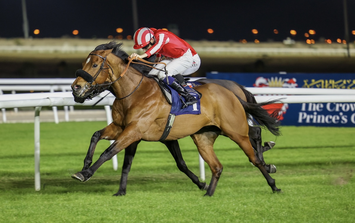 Phantom Flight wins in Bahrain. Photo: Bahrain Turf Club