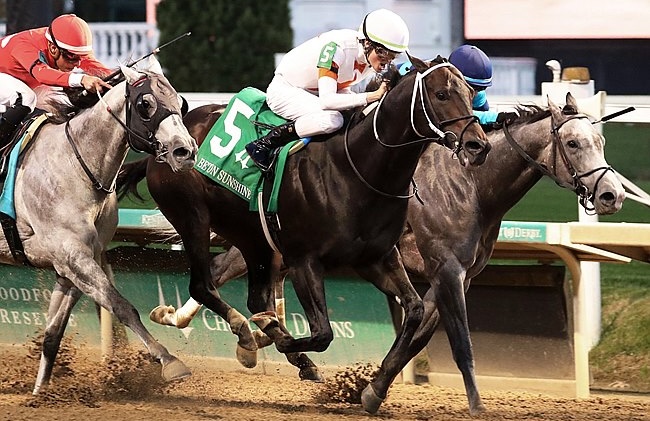 Erik Asmussen in stakes-winning action on Gulfport (centre) at Churchill Downs. Photo: Coady (Jetta Vaughns) / Churchill Downs