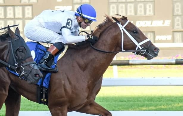 John Hancock (Flavien Prat) is on the Kentucky Derby trail after justifying favoritism in the Sam F. Davis. Photo: Tampa Bay Downs