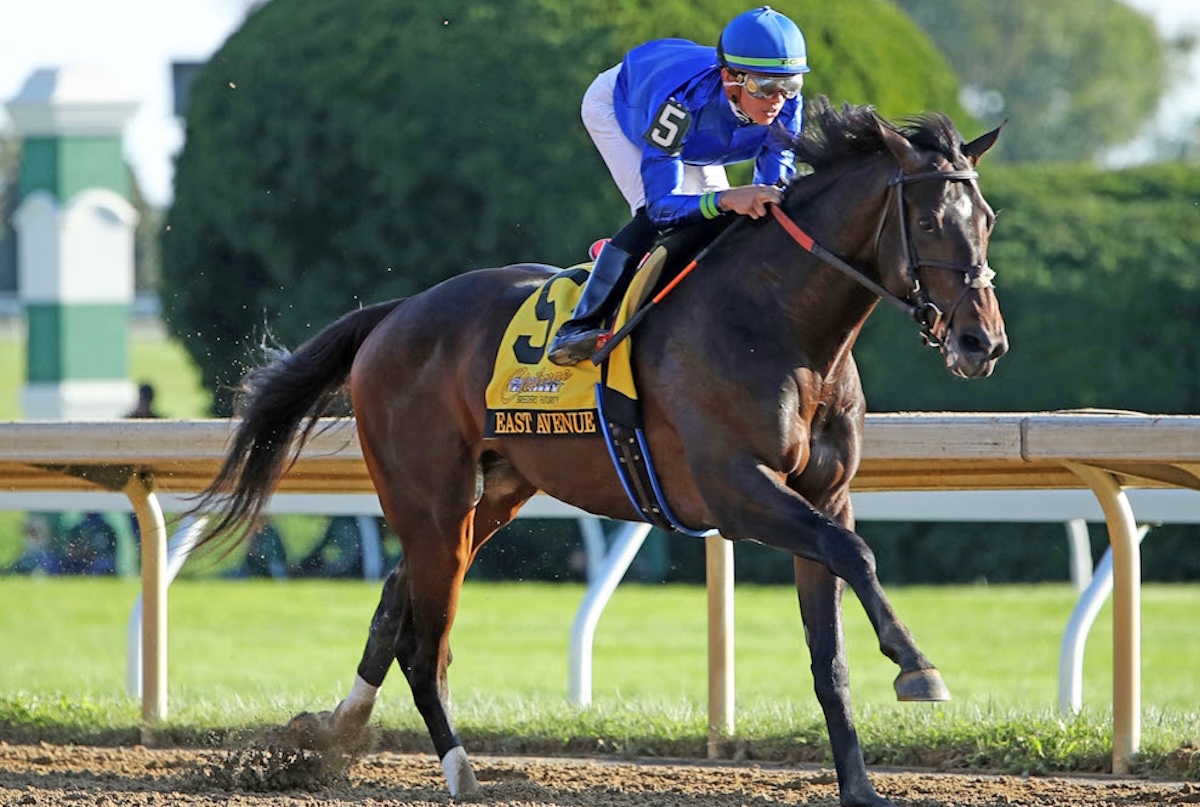 East Avenue: set to run at Fair Grounds. Photo: Keeneland