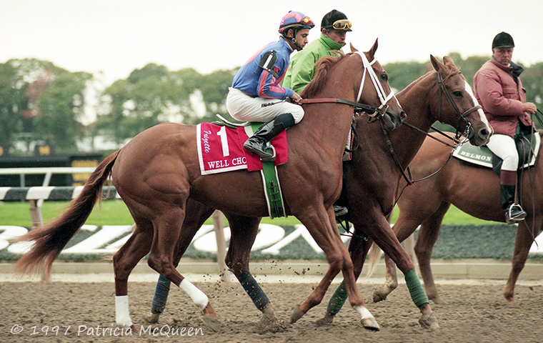 Well Chosen: G1-winning daughter of Secretariat mare Chosen Lady. Photo: Patricia McQueen