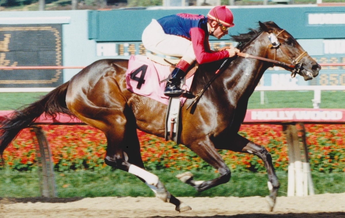 Holllywood Wildcat enhanced her turf credentials in the 1993 Del Mar Oaks, with Possibly Perfect among the beaten. (Del Mar photo)