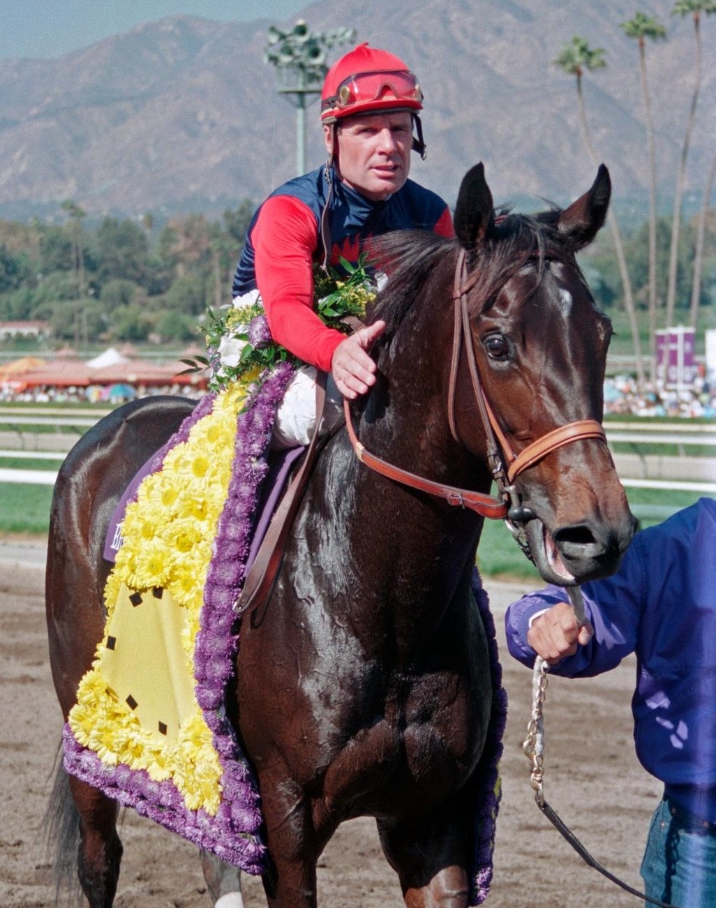 Eddie Delahoussaye gives Hollywood Wildcat a grateful pat after their Breeders’ Cup victory. (Barbara Livingston photo)