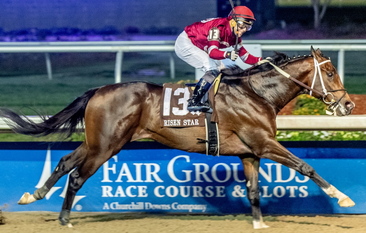 Magnitude (Ben Curtis): fast time but form may not be all it seems. Photo: Hodges Photography / Fair Grounds