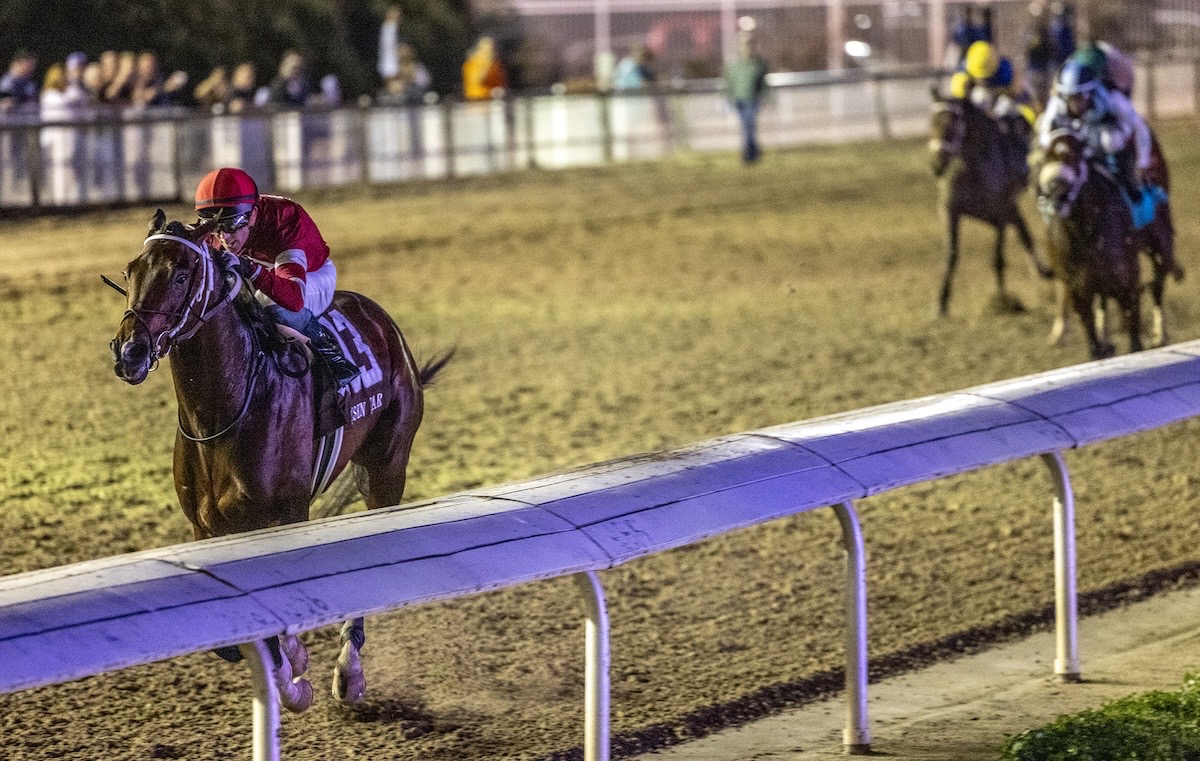 Magnitude (Ben Curtis) is well clear in the Risen Star. Photo: Hodges Photography / Fair Grounds