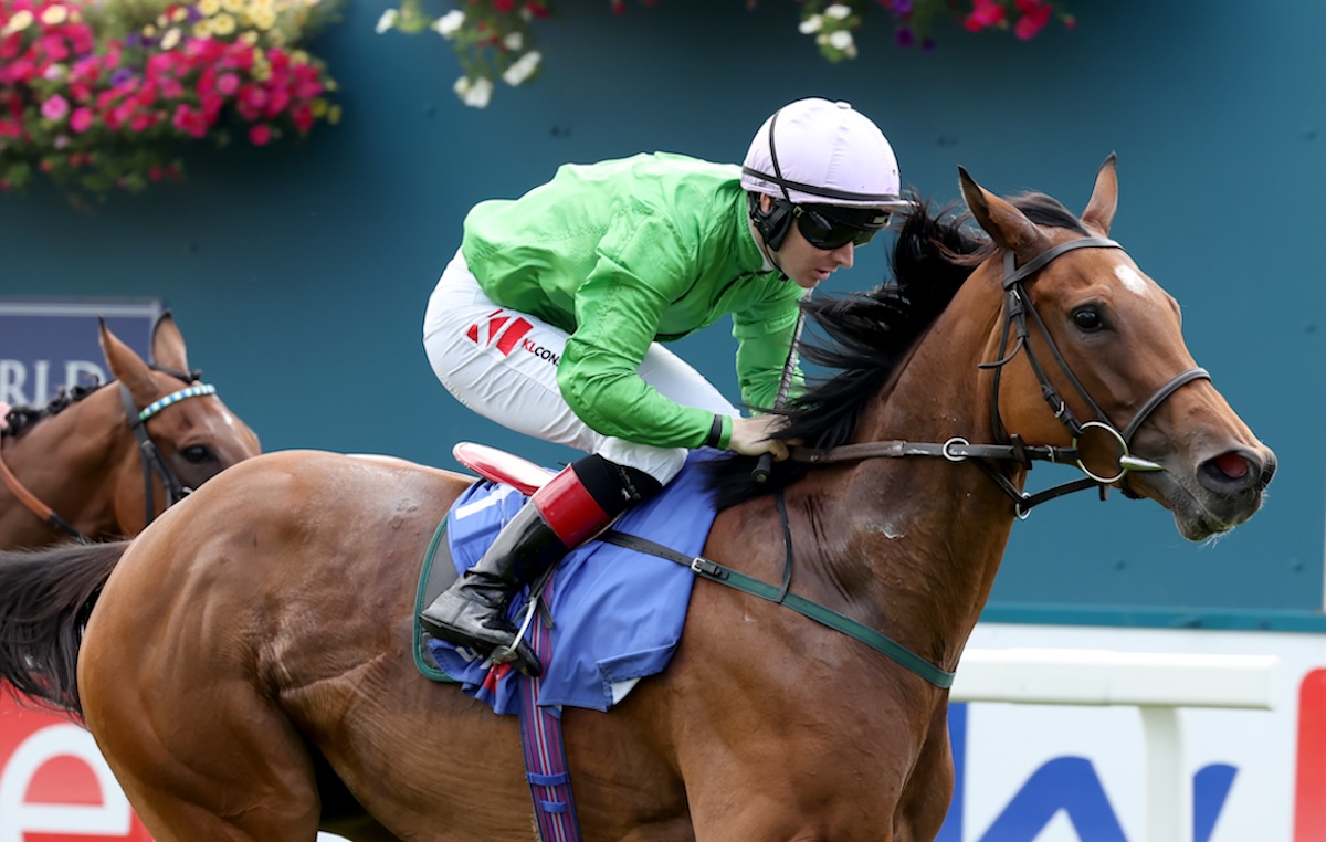 Breege (Colin Keane) wins the City of York Stakes in 2024. Photo: Dan Abraham / focusonracing.com