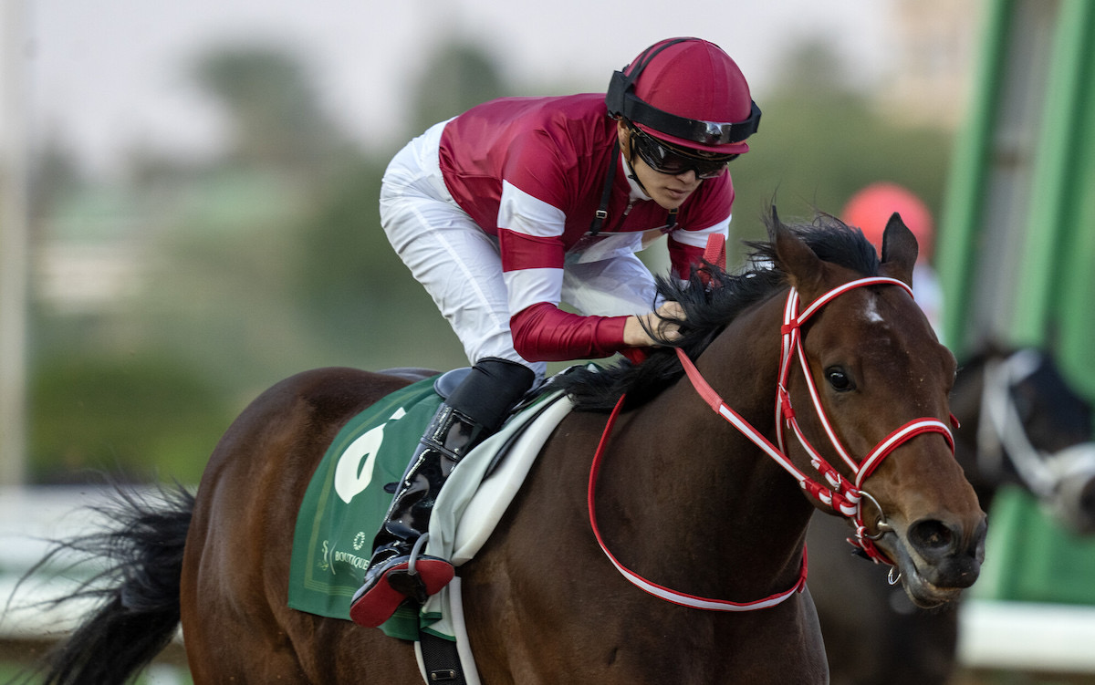 Forever Young: back in Riyadh after winning last year. Photo: Jockey Club of Saudi Arabia / Mathea Kelley