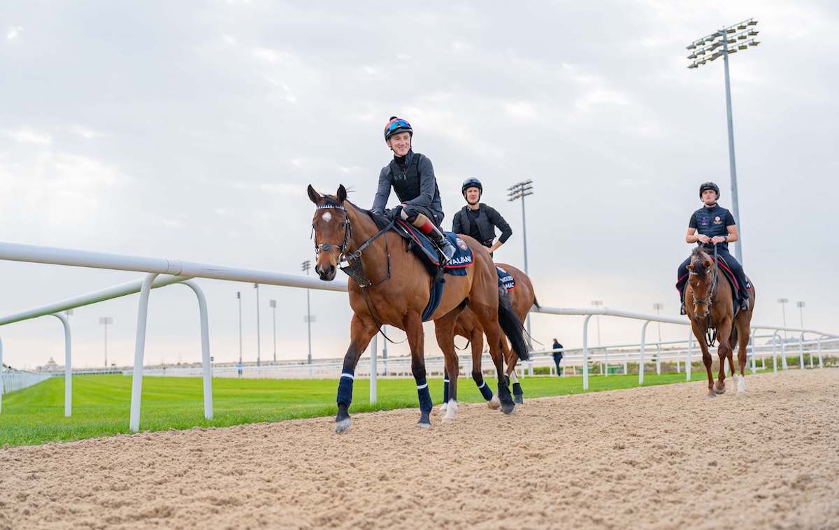 David Egan at the Rashid Equestrian & Horseracing Club. Photo: Bahrain Turf Club