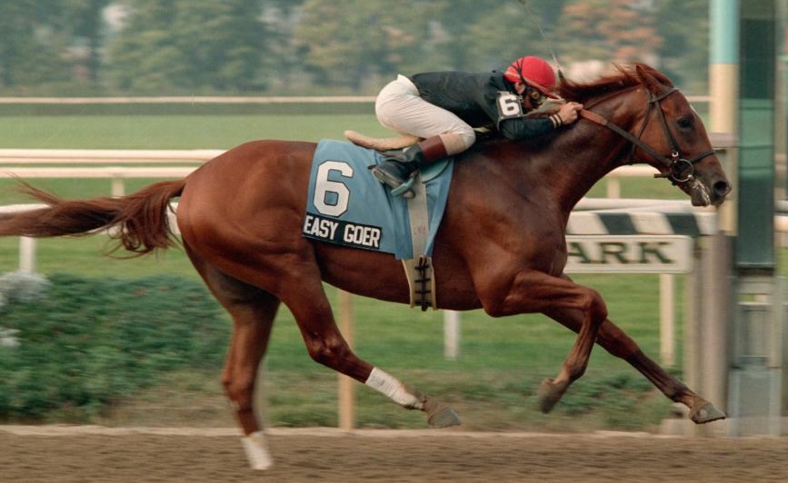 Easy Goer: ‘The best horse I ever rode,’ says Pat Day. Photo: NYRA / Coglianese