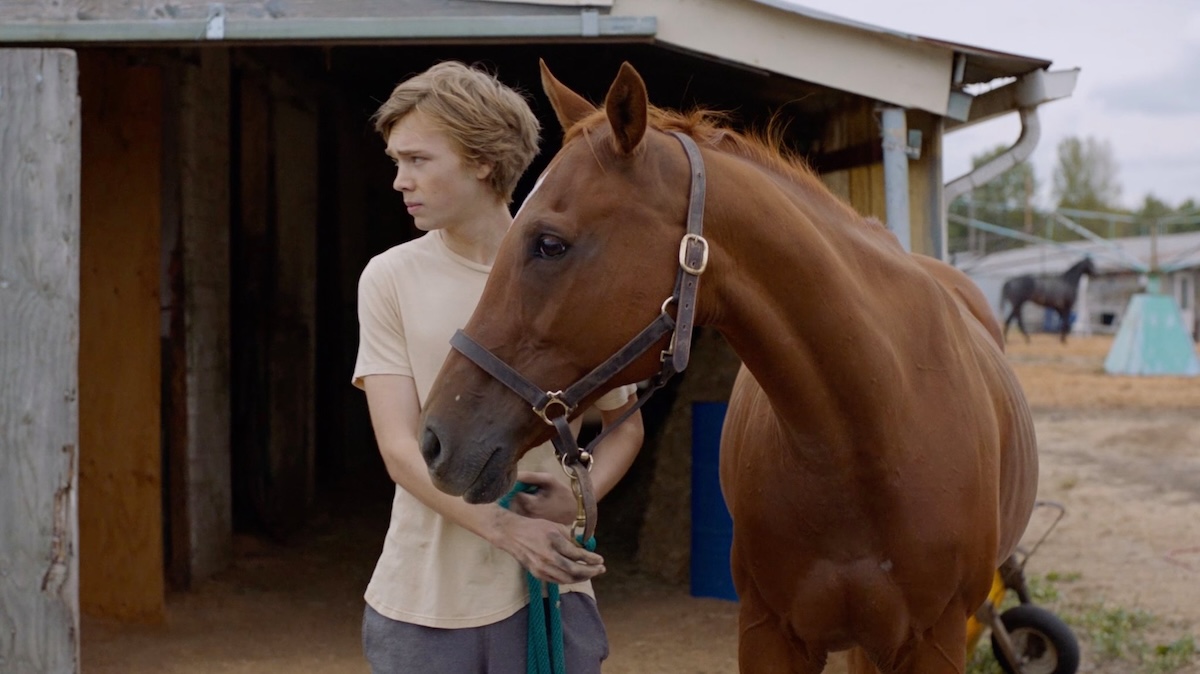 Charlie Plummer, as Charley Thompson, makes a connection with Lean On Pete from first sight. (A24 photo)