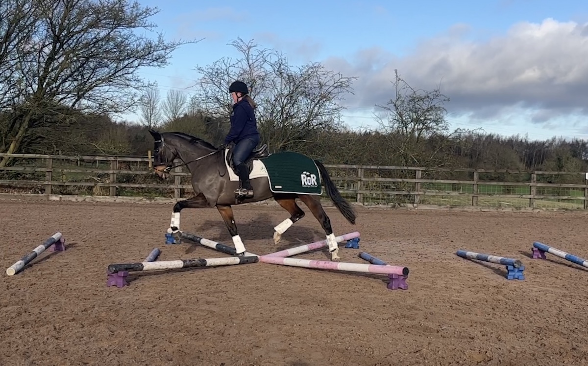 Much-needed practice over poles for Master Wickham’s least favourite discipline, dressage. Photo supplied