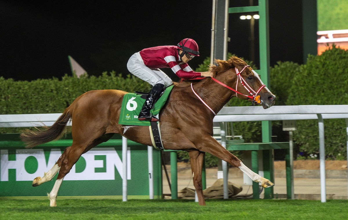 Shin Emperor (Ryusei Sakai) strides out in Saudi. Photo: Jockey Club of Saudi Arabia / Mathea Kelley