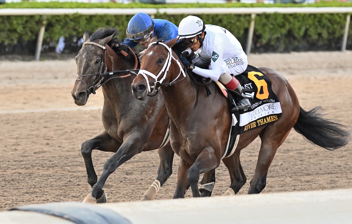 River Thames (near side) gets nailed by Sovereignty at Gulfstream Park. Photo: Angelo Lieto