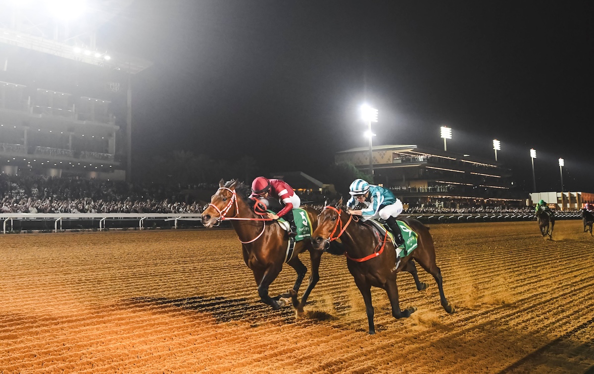 Forever Young edges out Romantic Warrior in the Saudi Cup. Photo: Jockey Club of Saudi Arabia / Paul McMillan