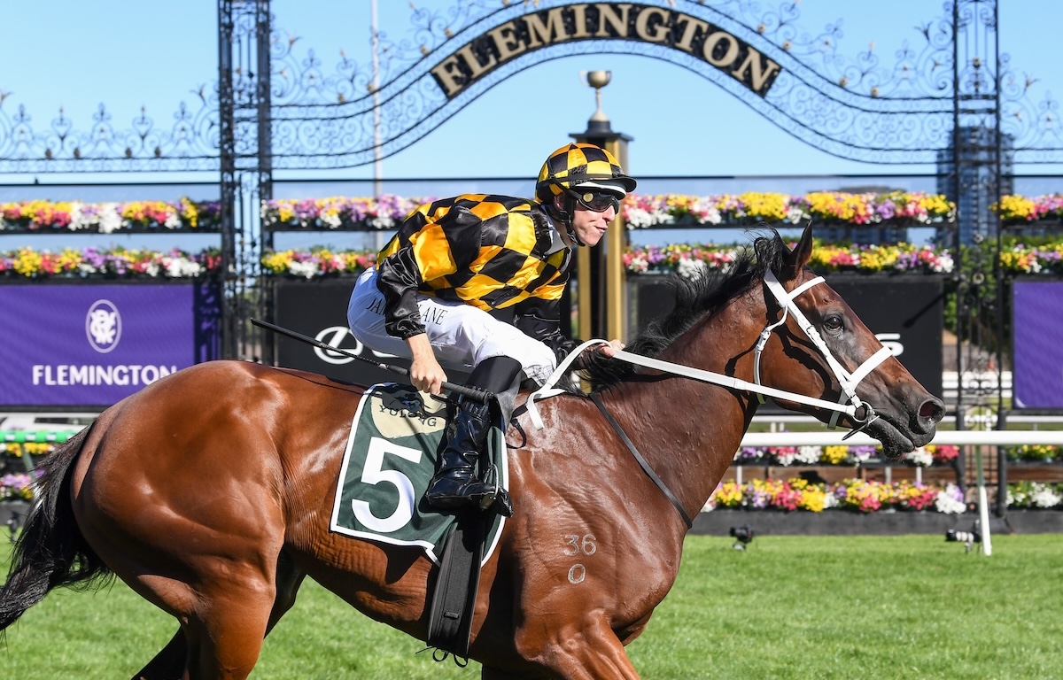 Joliestar (Damian Lane) wins at Flemington. Photo: Brett Holburt/Racing Photos