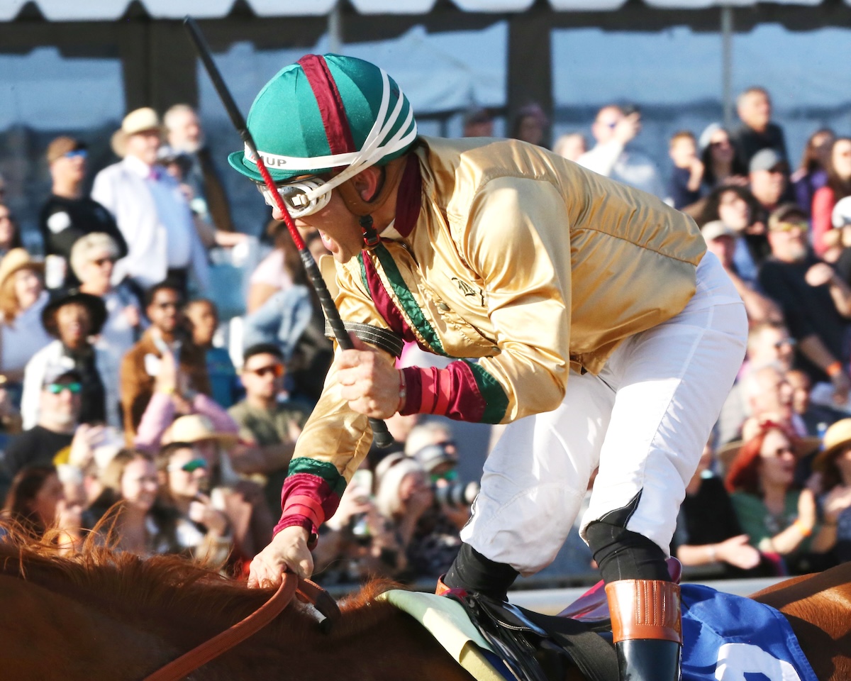 Nik Juarez celebrates winning the $500,000 Virginia Derby on American Promise. Photo: Nick Phillips