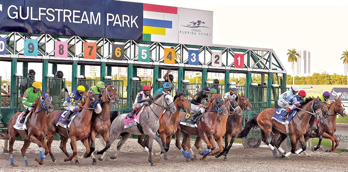 Racing at Gulfstream Park: ‘We are pulling out all the stops to kill this bill but it’s a big battle,’ says Damon Thayer. Photo: Gulfstream Park