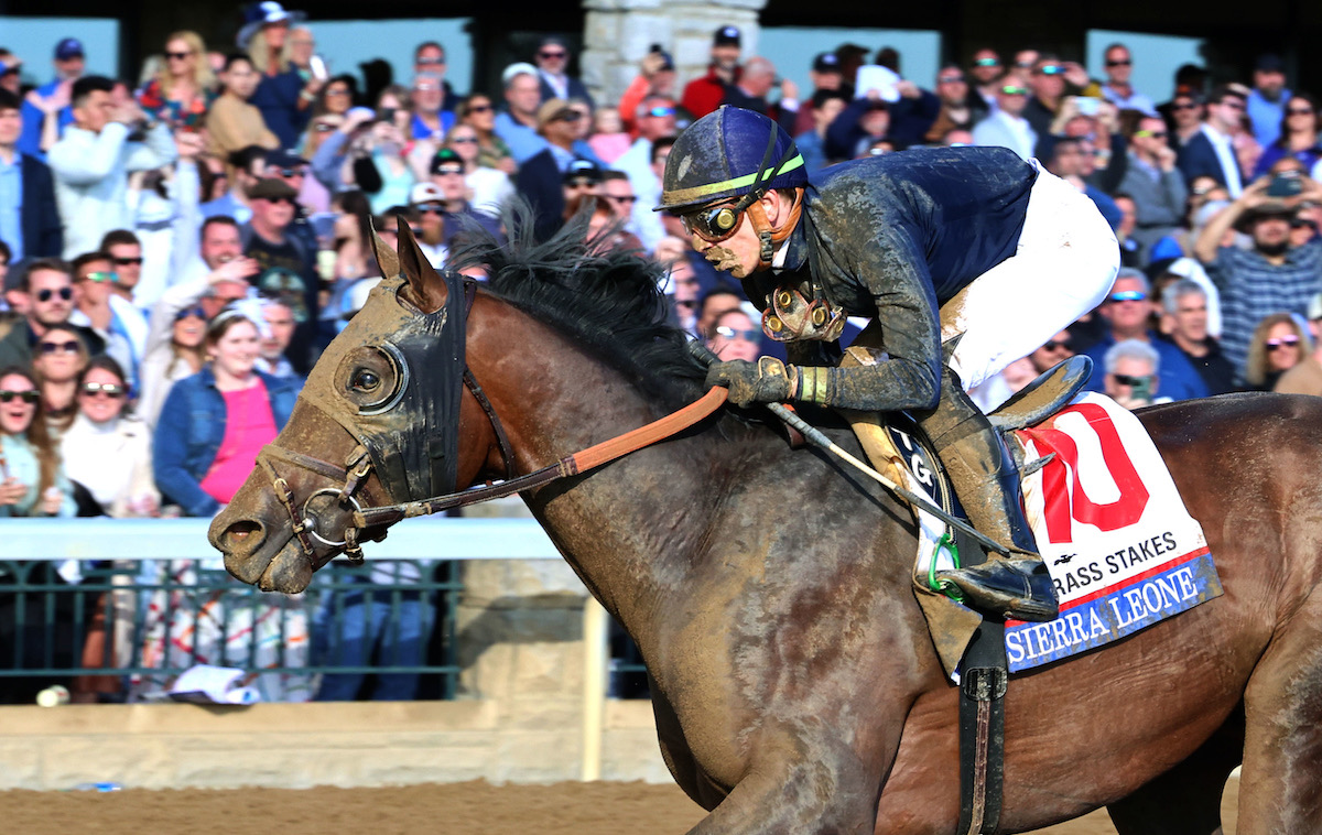 Sierra Leone: Breeders’ Cup Classic winner is drawn seven in ten-runner field for G2 New Orleans Classic at Fair Grounds on Saturday. Photo: Keeneland