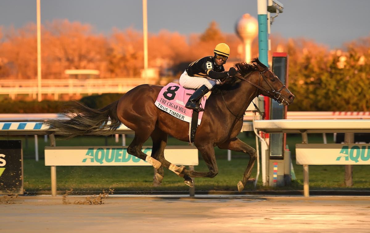 Grade 1 breakthrough: Kendrick Carmouche partners True Timber to win the Cigar Mile at Aqueduct in December 2020. Photo: Adam Coglianese/NYRA